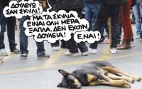 δουλια σκυλι